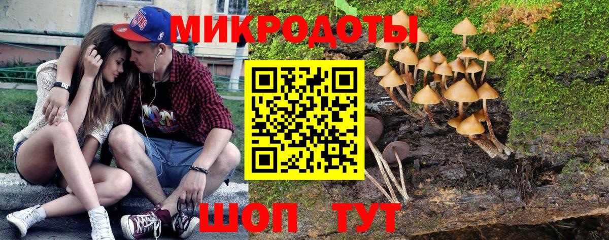 Ленинск-Кузнецкий  Галлюциногенные грибы Cubensis  Вход с VPN 