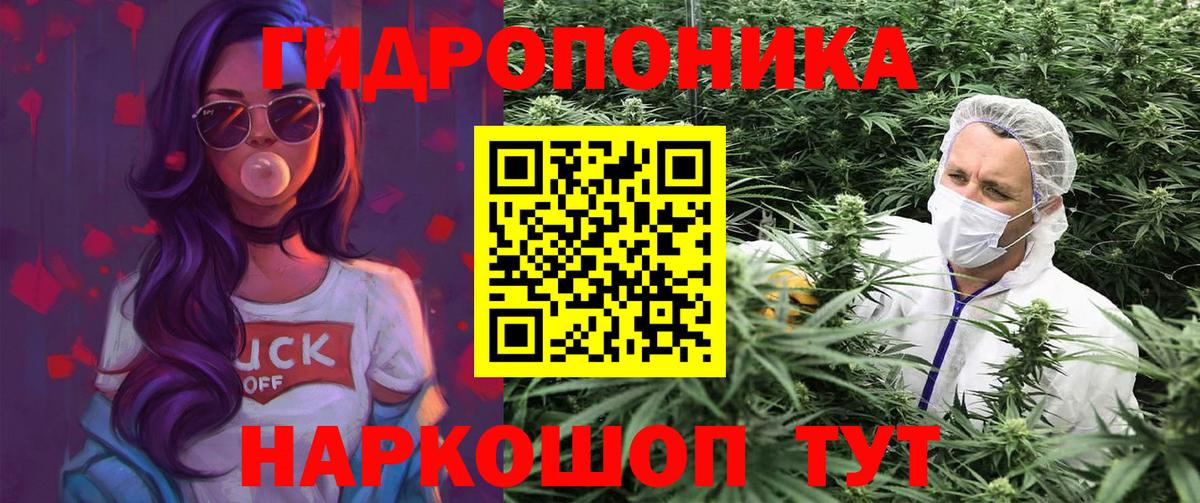 Ленинск-Кузнецкий  Марихуана Amnesia  Марихуана THC 21%  Вход с VPN  Каннабис планчик  Бошки марихуана тримм 